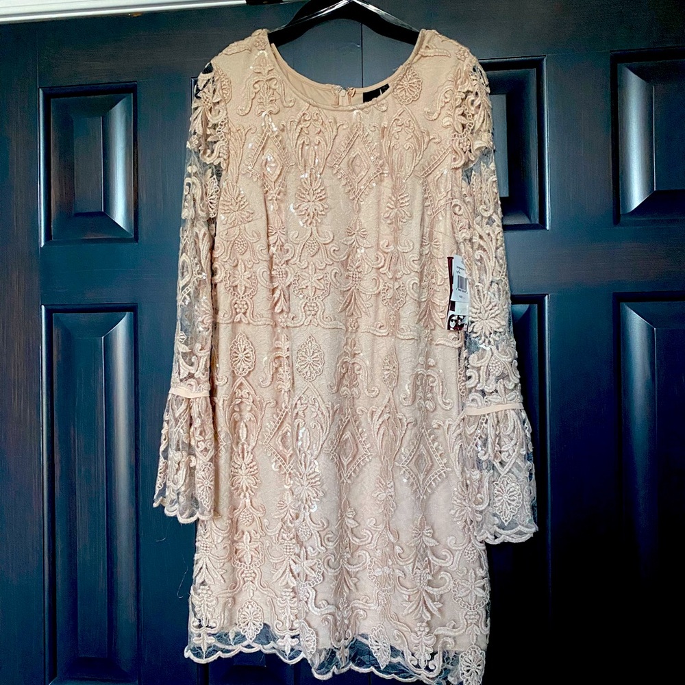 Beautiful blush lace long sleeve dress.
